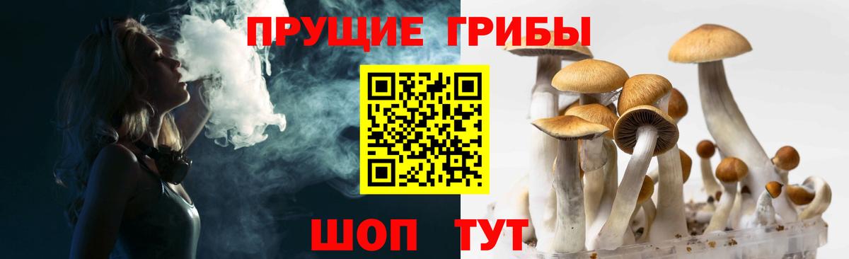 Галлюциногенные грибы GOLDEN TEACHER Стрежевой